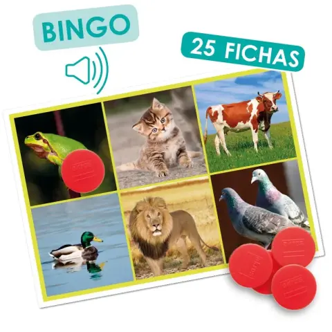 Imagen BINGO: LOS ANIMALES Y LA NATURALEZA