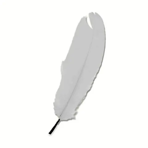 Imagen PLUMAS GRANDES GRIS