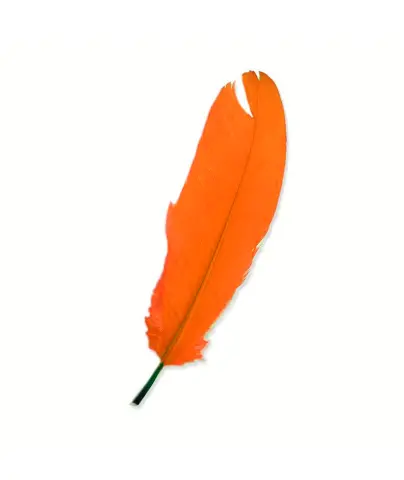 Imagen PLUMAS GRANDES NARANJA 